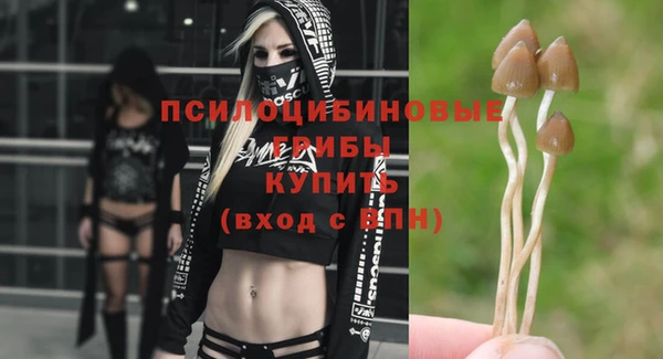 не бодяженный Белокуриха