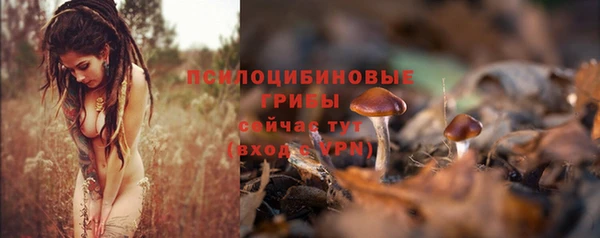 не бодяженный Белокуриха