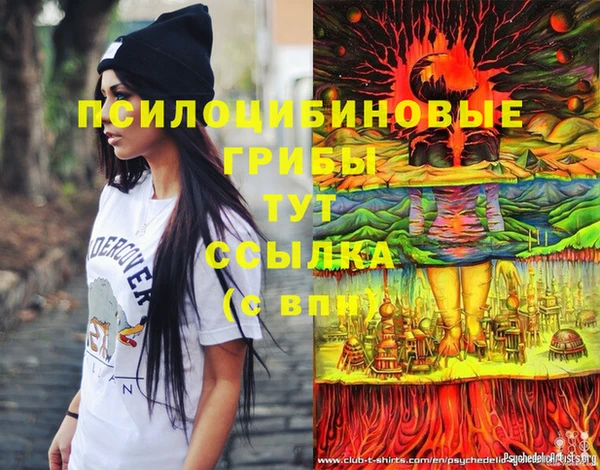 не бодяженный Белокуриха