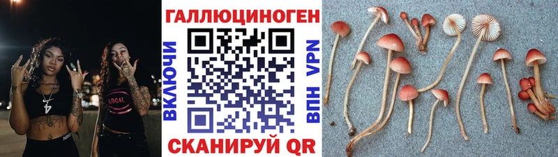 как найти наркотики hydra ONION Галлюциногенные грибы мухоморы Симферополь